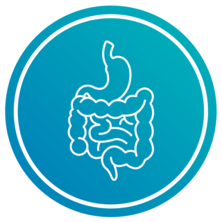 Abdominal, Digestório e Geniturinário
