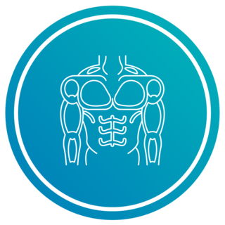 Musculoesquelético